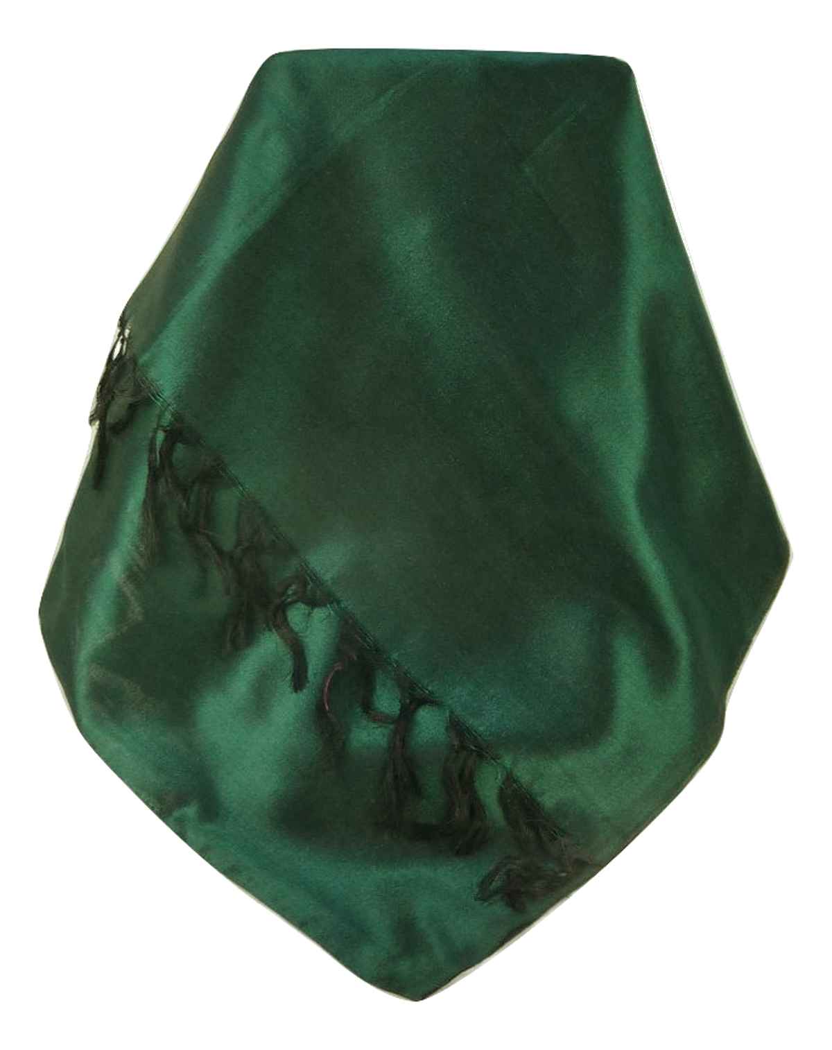 P&S Varanasi Sciarpa di Seta Heritage JWALI 1