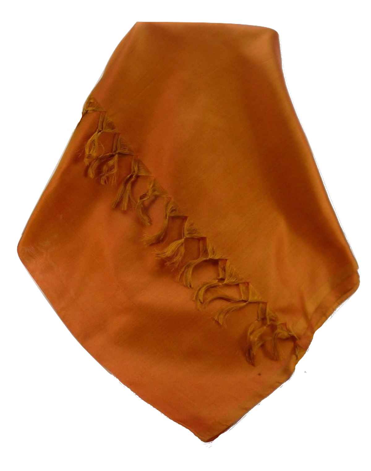 P&S Varanasi Sciarpa di Seta Heritage RASKIA 2