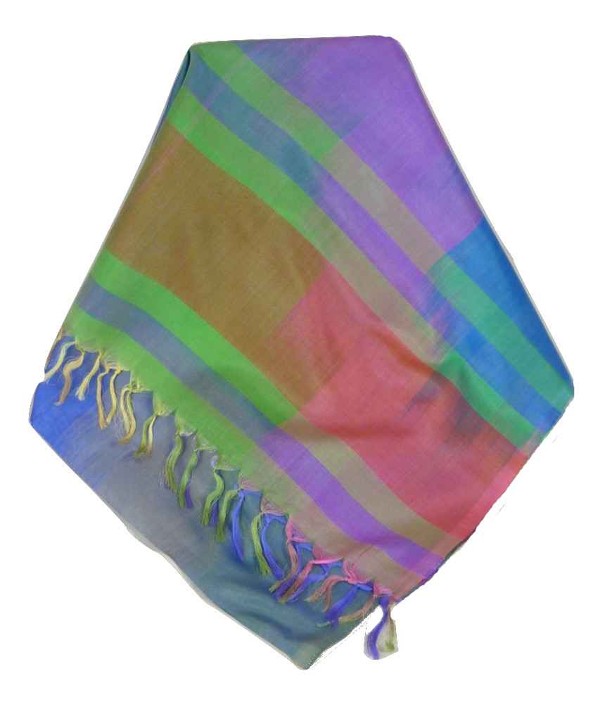 Varanasi Ekal Sciarpa di Seta Heritage Tamwar 5 da Pashmina & Silk