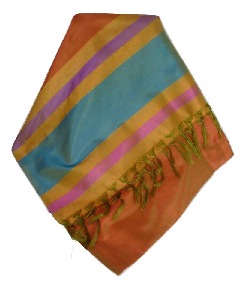 Varanasi Border Prime Silk Long Scarf Heritage Rampersan 405 by Pashmina & Silk