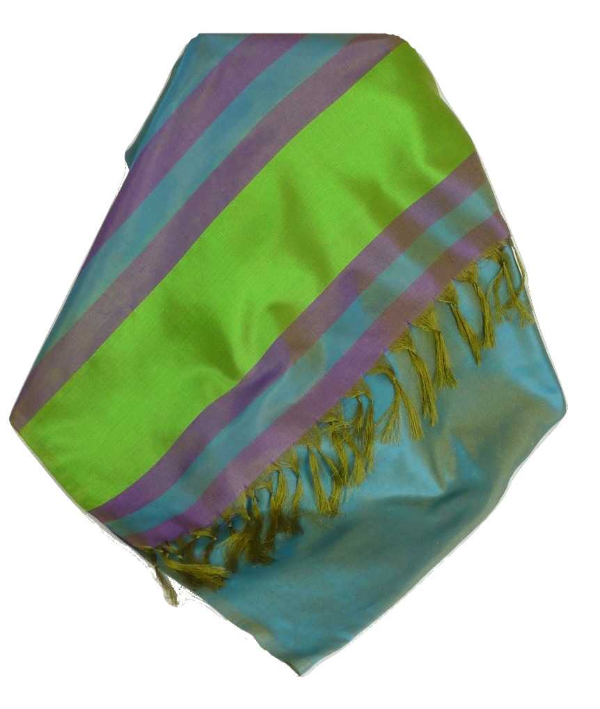 Varanasi Border Prime Silk Long Scarf Heritage Rampersan 413 by Pashmina & Silk