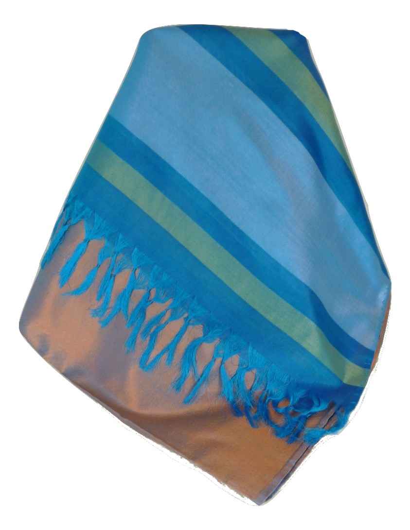 Varanasi Border Sciarpa di Seta Heritage Dasgupta 510 da Pashmina & Silk