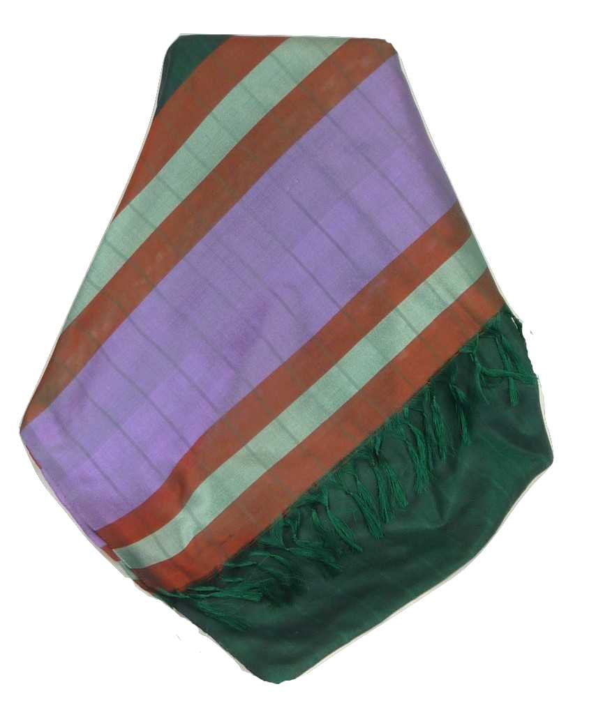 Varanasi Border Sciarpa di Seta Heritage Swami 603 da Pashmina & Silk