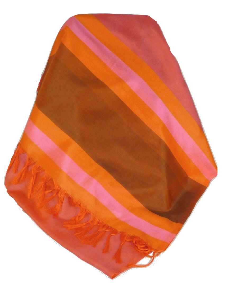 Varanasi Border Prime Silk Long Scarf Heritage Ganguly 901 by Pashmina & Silk