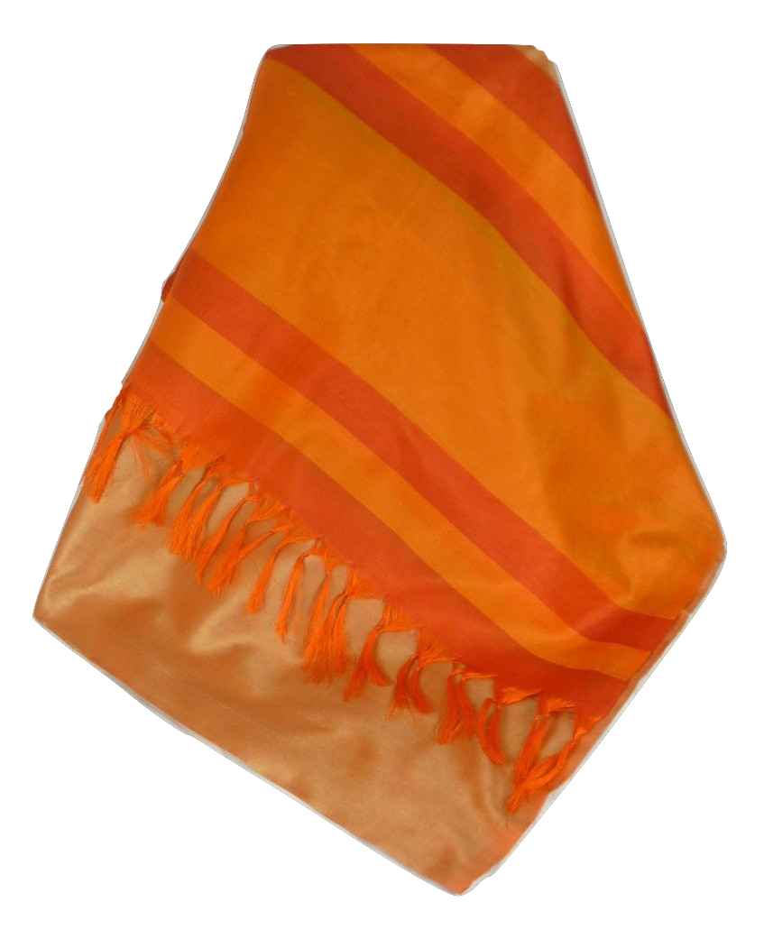 Varanasi Border Prime Silk Long Scarf Heritage Ganguly 905 by Pashmina & Silk