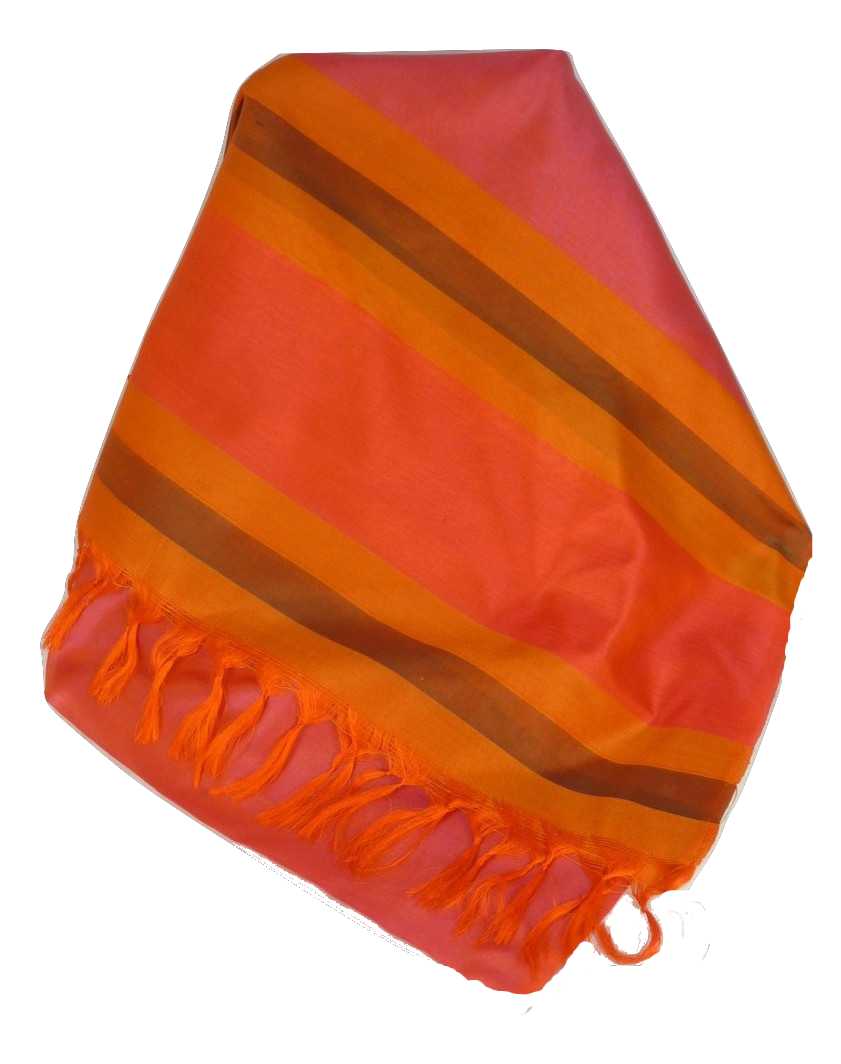 Varanasi Border Prime Silk Long Scarf Heritage Ganguly 909 by Pashmina & Silk
