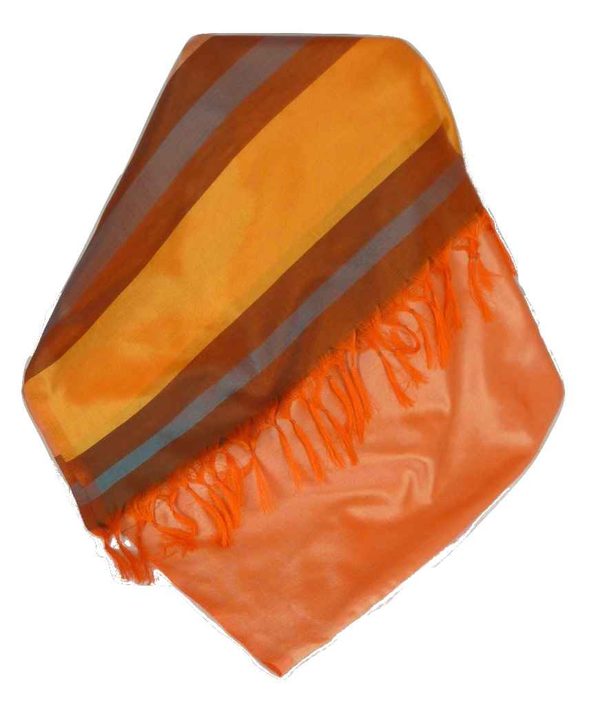 Varanasi Border Prime Silk Long Scarf Heritage Ganguly 911 by Pashmina & Silk