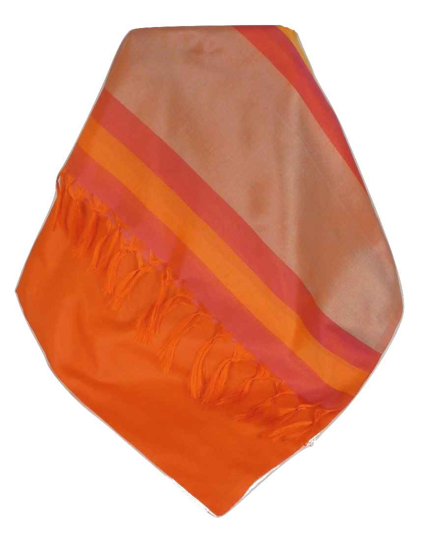 Varanasi Border Prime Silk Long Scarf Heritage Ganguly 912 by Pashmina & Silk