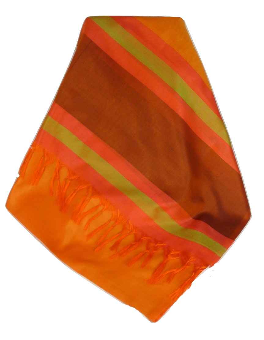 Varanasi Border Prime Silk Long Scarf Heritage Ganguly 913 by Pashmina & Silk