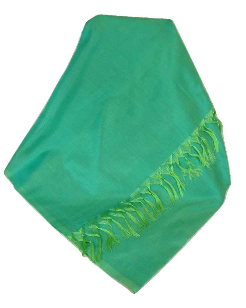 Varanasi Silk Long Scarf Heritage Range Sahni 3 Teal by Pashmina & Silk