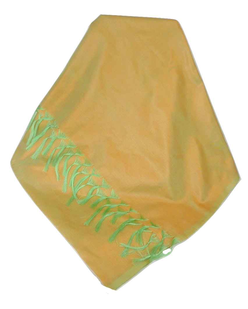 Varanasi Silk Long Scarf Heritage Range Sahni 4 Blush by Pashmina & Silk