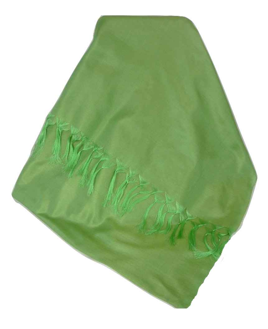 Varanasi Silk Long Scarf Heritage Range Sahni 8 Acorn by Pashmina & Silk