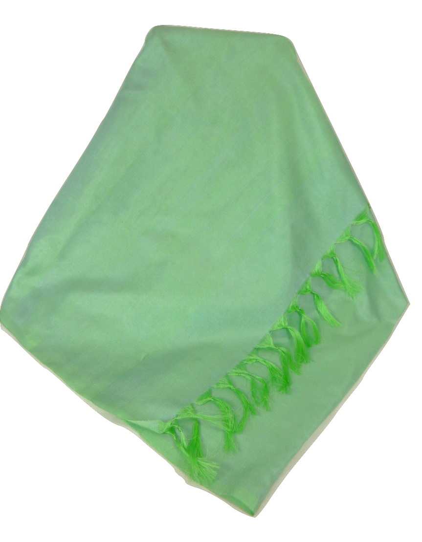Varanasi Silk Long Scarf Heritage Range Sahni 5 Peppermint by Pashmina & Silk