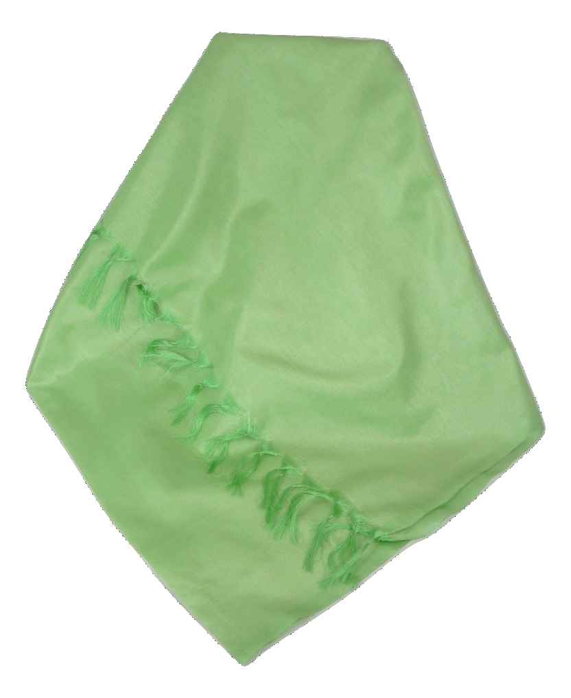 Varanasi Silk Long Scarf Heritage Range Sahni 6 Fern by Pashmina & Silk
