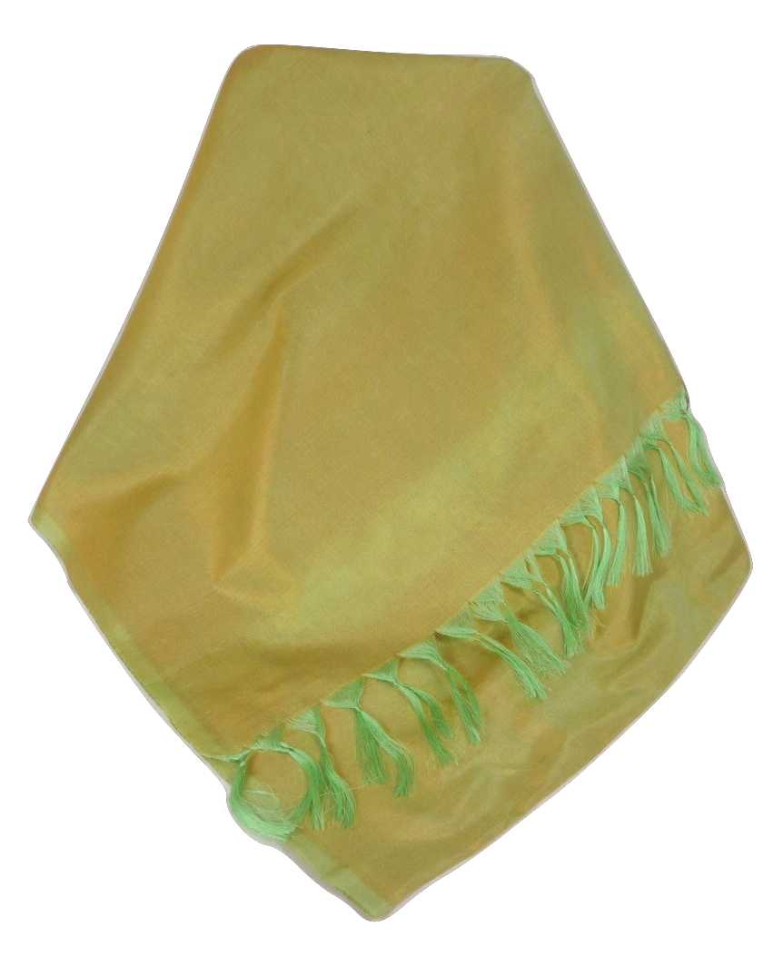 Varanasi Silk Long Scarf Heritage Range Sahni 7 Sand by Pashmina & Silk