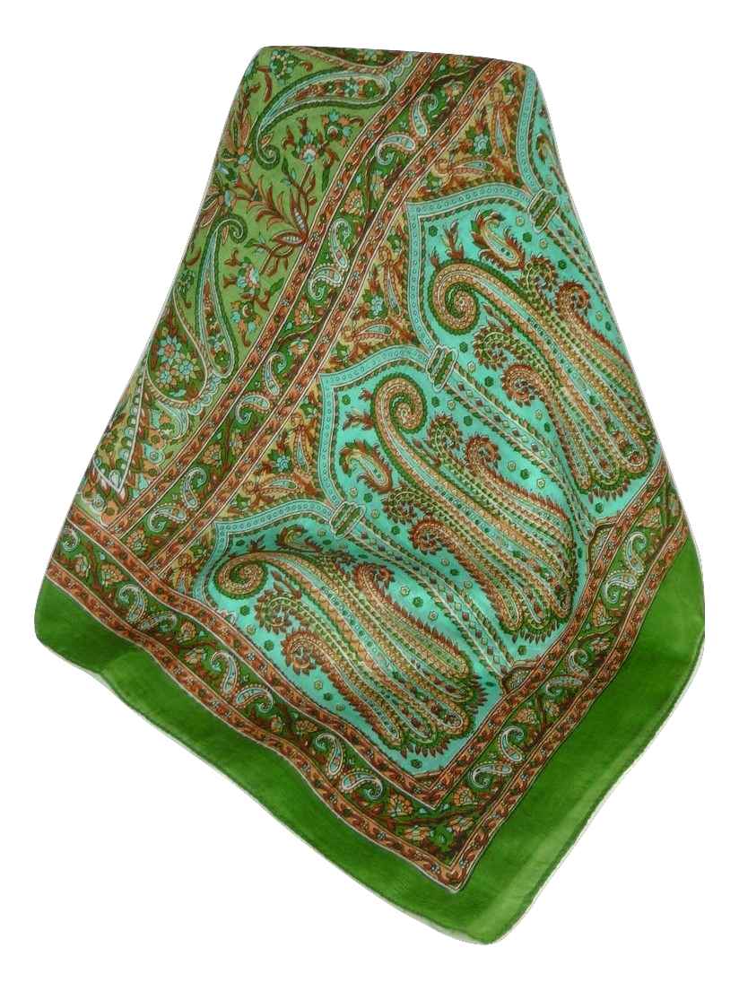 Tradizionale Sciarpa Longa di Seta Dixit Sage di Pashmina & Silk