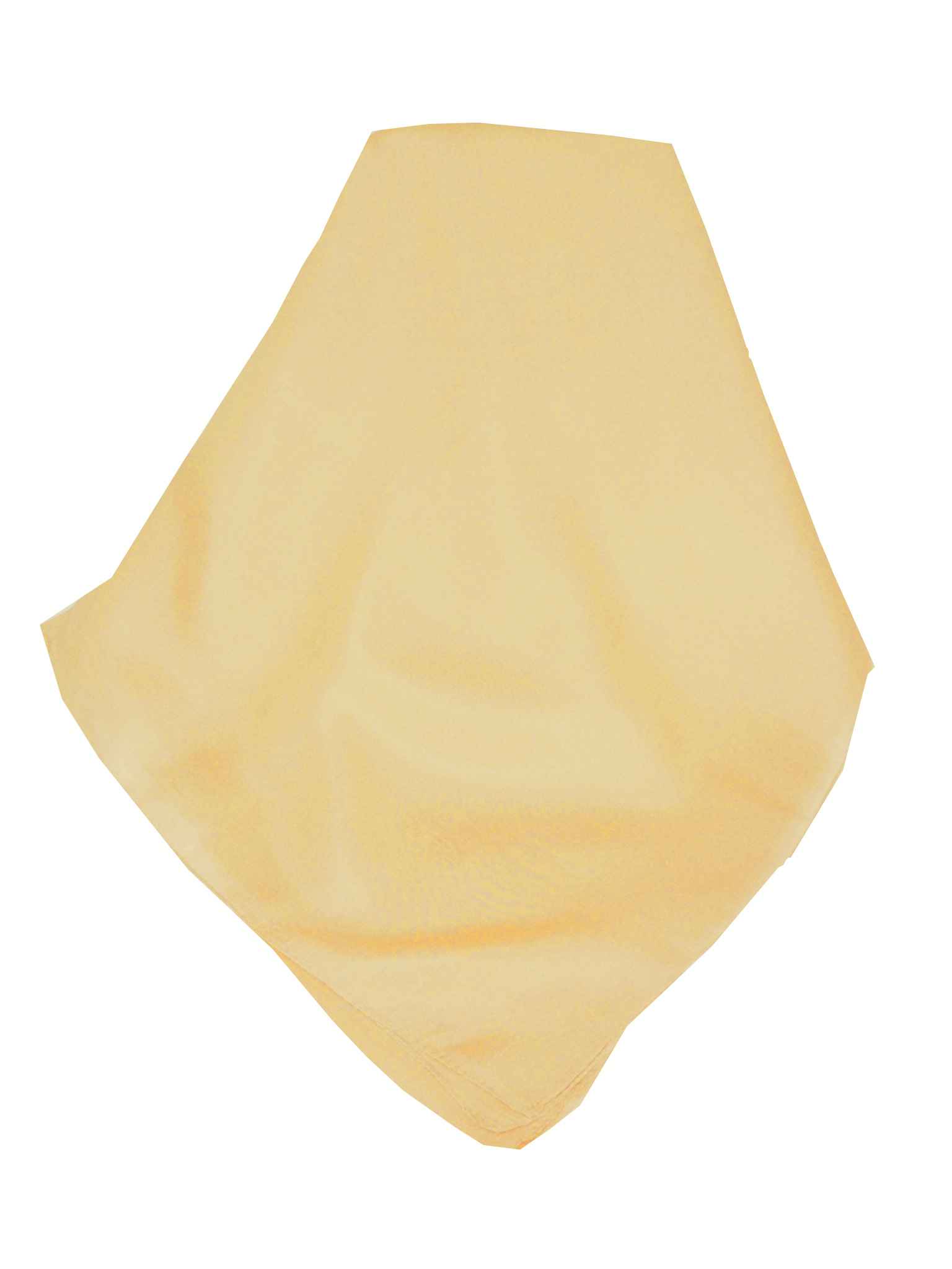 Tradizionale Sciarpa Lunga Seta di Gelso Oyster da Pashmina & Silk