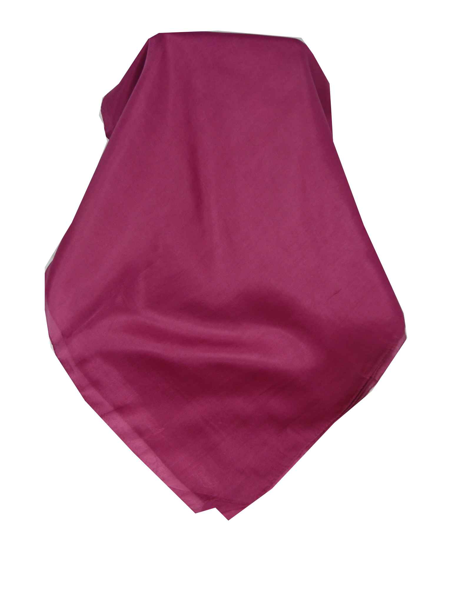 Tradizionale Sciarpa Lunga Seta di Gelso Plum  da Pashmina & Silk