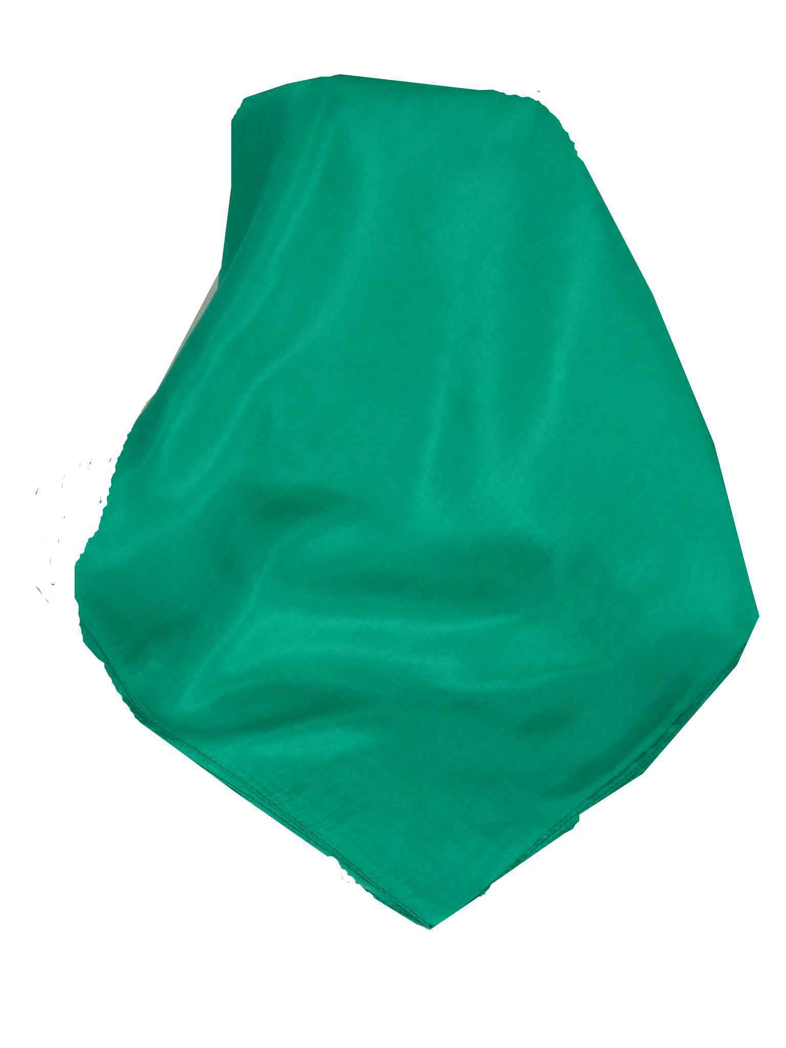 Tradizionale Sciarpa Lunga Seta di Gelso Teal  da Pashmina & Silk