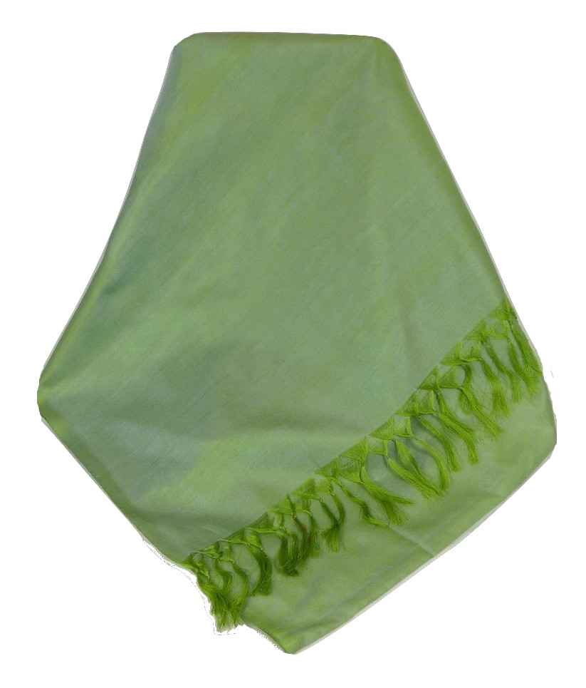 Varanasi Silk Long Scarf Heritage Range Prasad 2 Apple by Pashmina & Silk