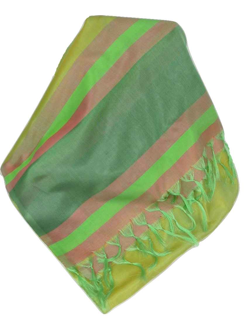 Varanasi Border Sciarpa di Seta Heritage Rajagopal 250 da Pashmina & Silk