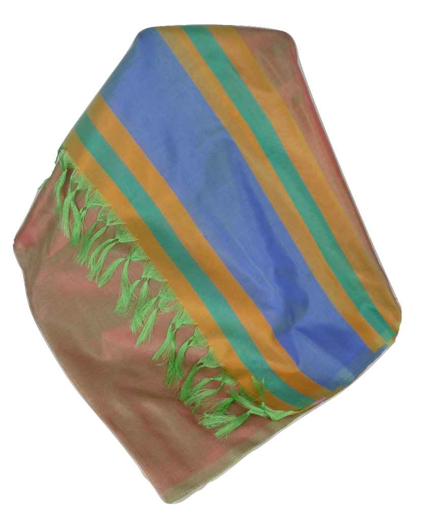 Varanasi Border Sciarpa di Seta Heritage Rajagopal 260 da Pashmina & Silk