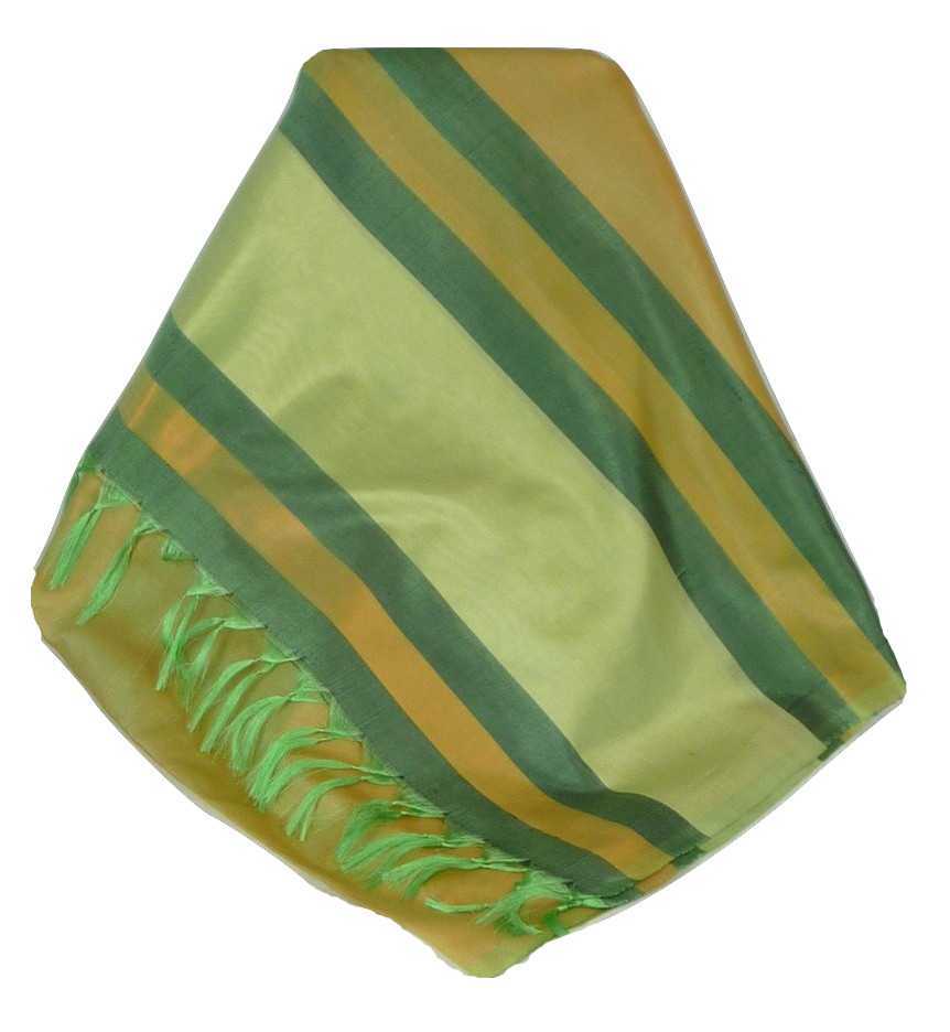 Varanasi Border Sciarpa di Seta Heritage Rajagopal 261 da Pashmina & Silk
