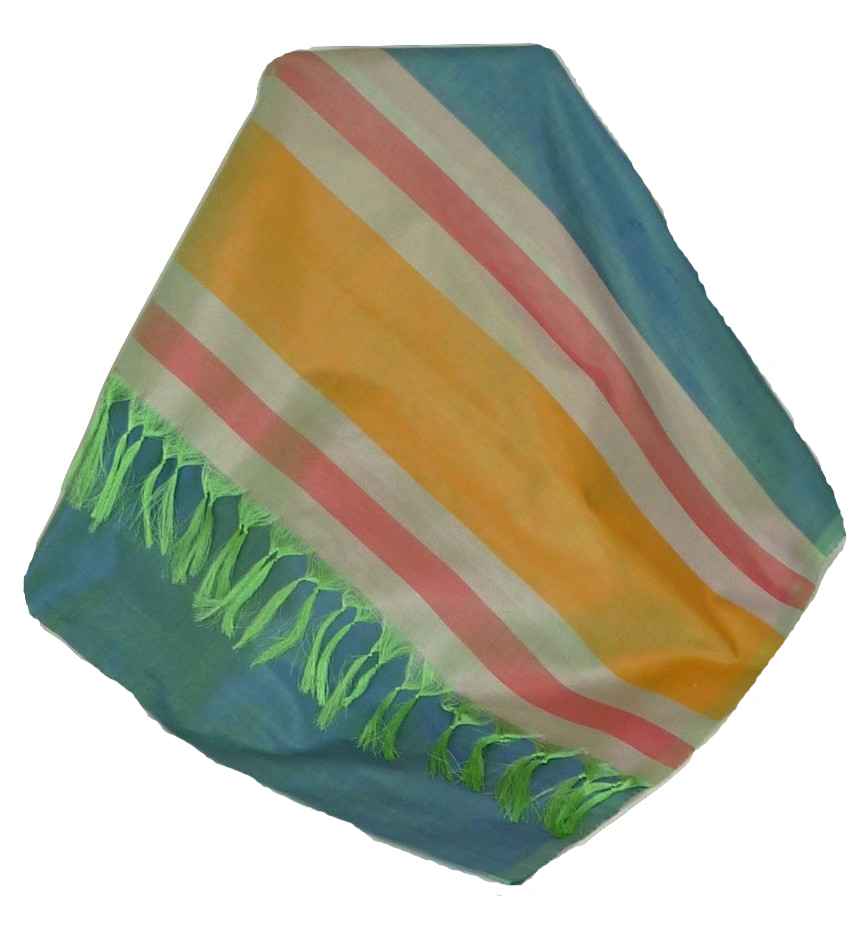 Varanasi Border Sciarpa di Seta Heritage Rajagopal 262 da Pashmina & Silk