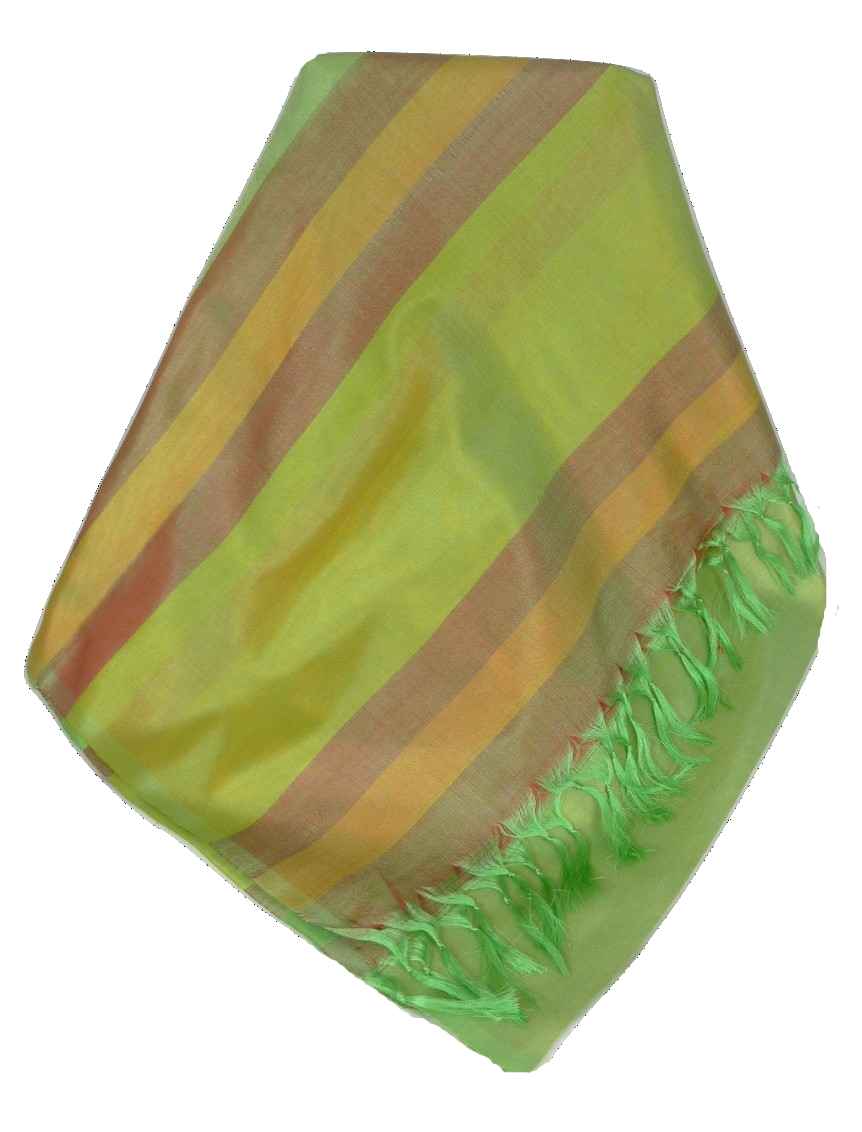 Varanasi Border Sciarpa di Seta Heritage Rajagopal 263 da Pashmina & Silk