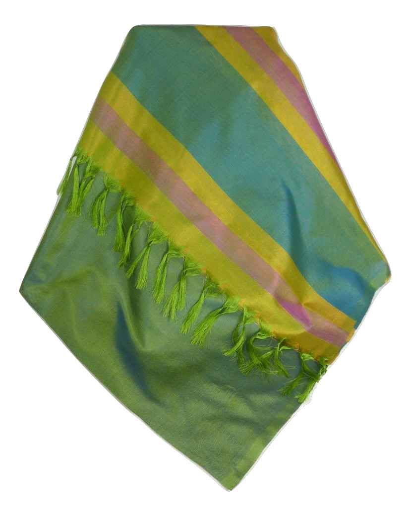 Varanasi Border Sciarpa di Seta Heritage Goswami 701 da Pashmina & Silk
