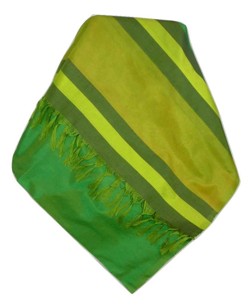 Varanasi Border Sciarpa di Seta Heritage Goswami 702 da Pashmina & Silk