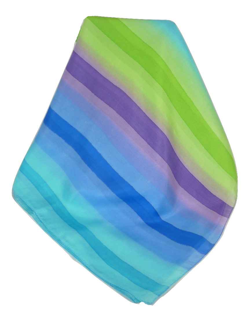 Sciarpa Lunga di Seta di Gelso Classic Rainbow Char da Pashmina & Silk
