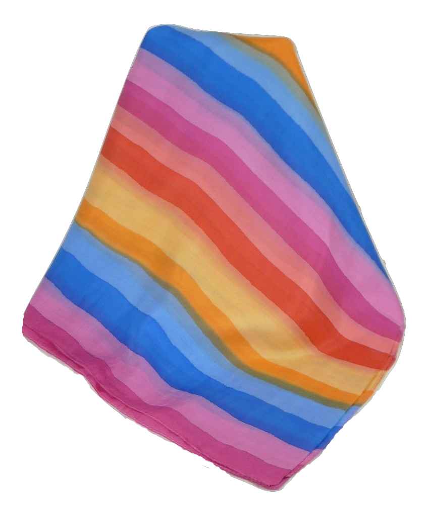 Sciarpa Lunga di Seta di Gelso Classic Rainbow Dani da Pashmina & Silk