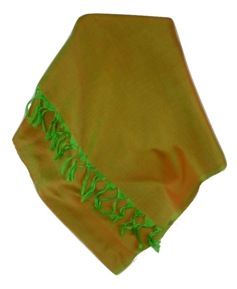 Varanasi Foulard de Soie Saurav 4 Gamme Heritage par Pashmina & Silk