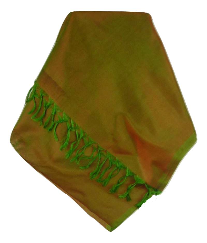 Varanasi Foulard de Soie Saurav 6 Gamme Heritage par Pashmina & Silk