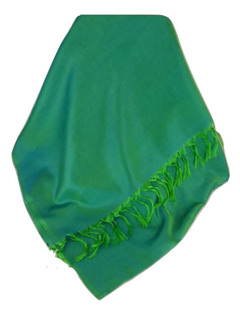 Varanasi Foulard de Soie Saurav 7 Gamme Heritage par Pashmina & Silk