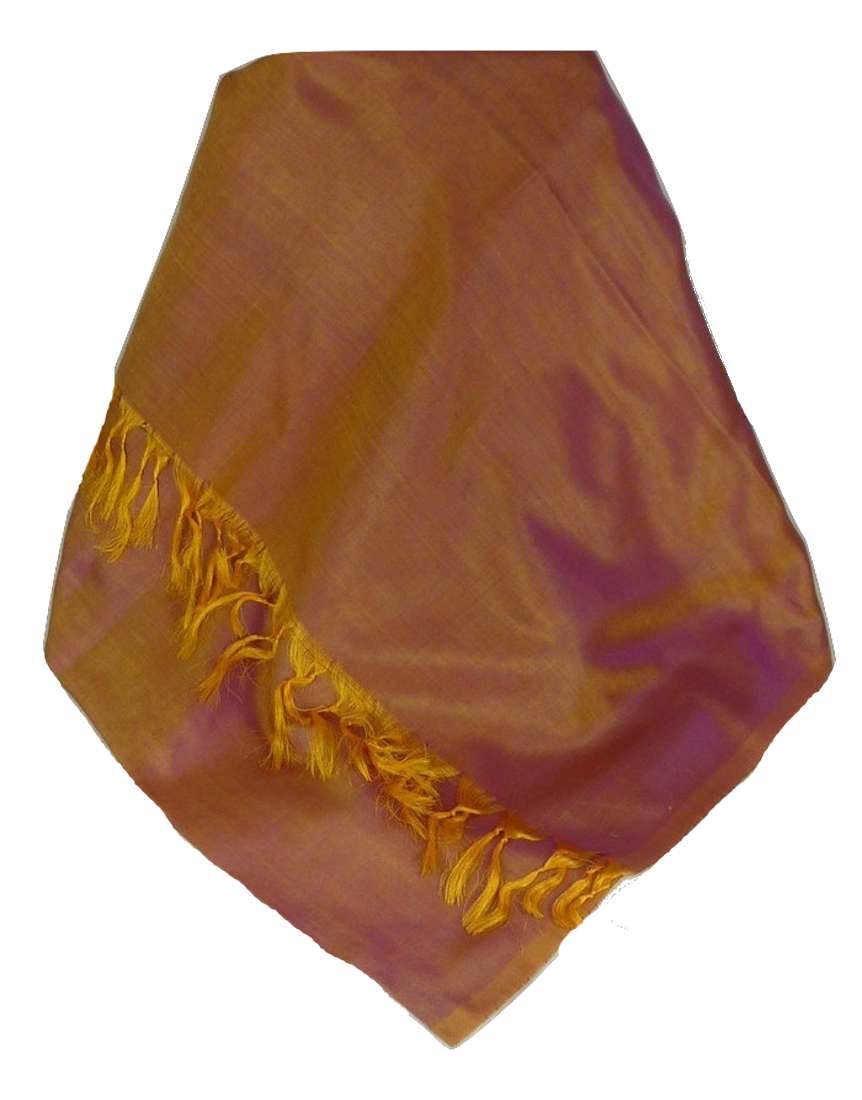 Varanasi Silk Long Scarf Heritage Range Armitraj 3 by Pashmina & Silk