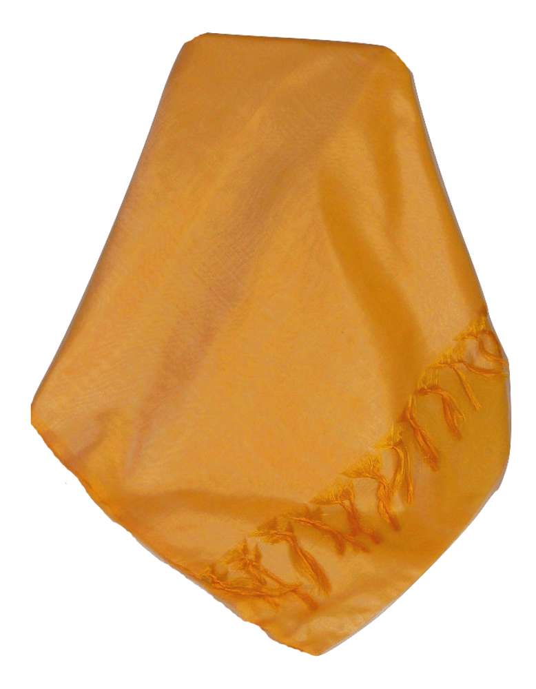 Varanasi Silk Long Scarf Heritage Range Armitraj 6 by Pashmina & Silk