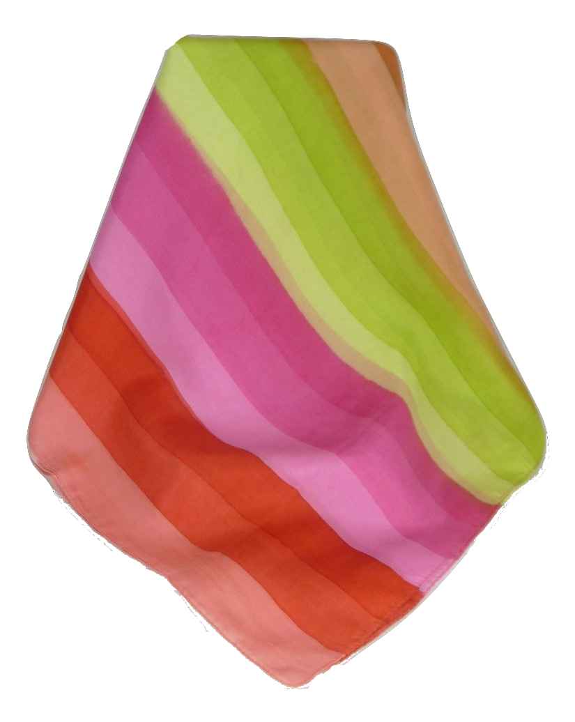 Sciarpa Lunga di Seta di Gelso Classic Rainbow Rana da Pashmina & Silk