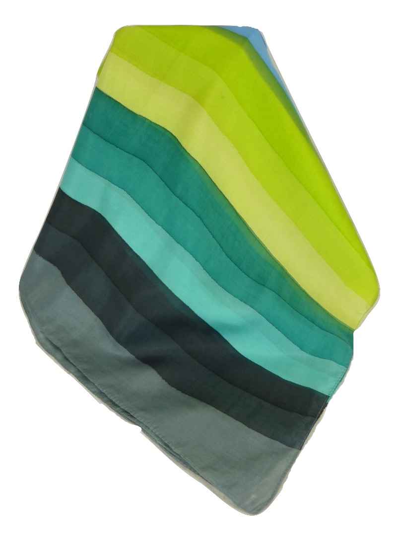 Sciarpa Lunga di Seta di Gelso Classic Rainbow Srini da Pashmina & Silk