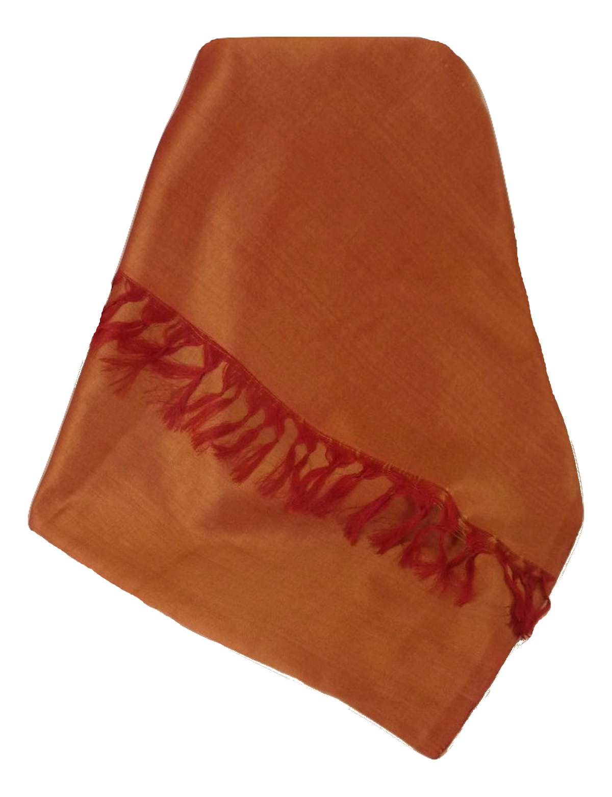 Varanasi Sciarpa di Seta Heritage Gunneswaran 2 da Pashmina & Silk