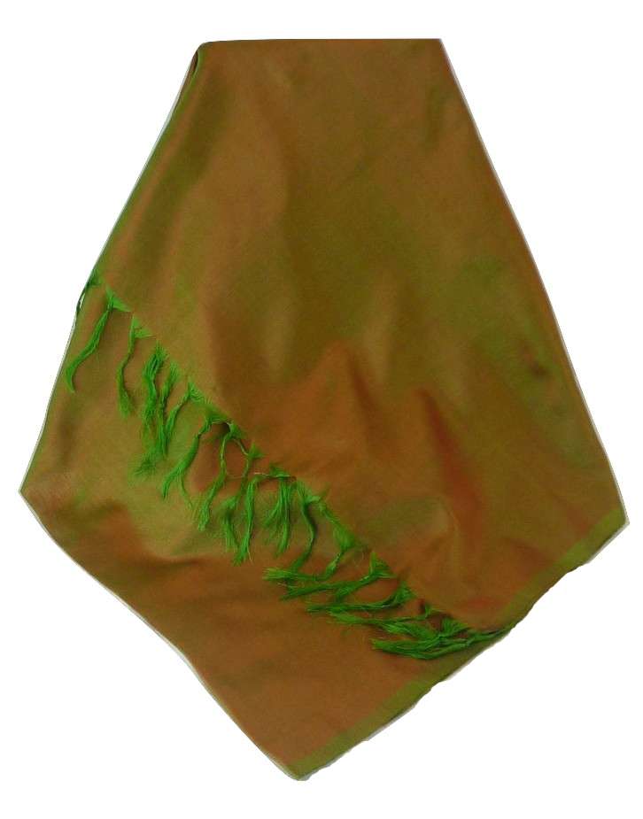 Varanasi Sciarpa di Seta Heritage Jayaprakesh 1 da Pashmina & Silk