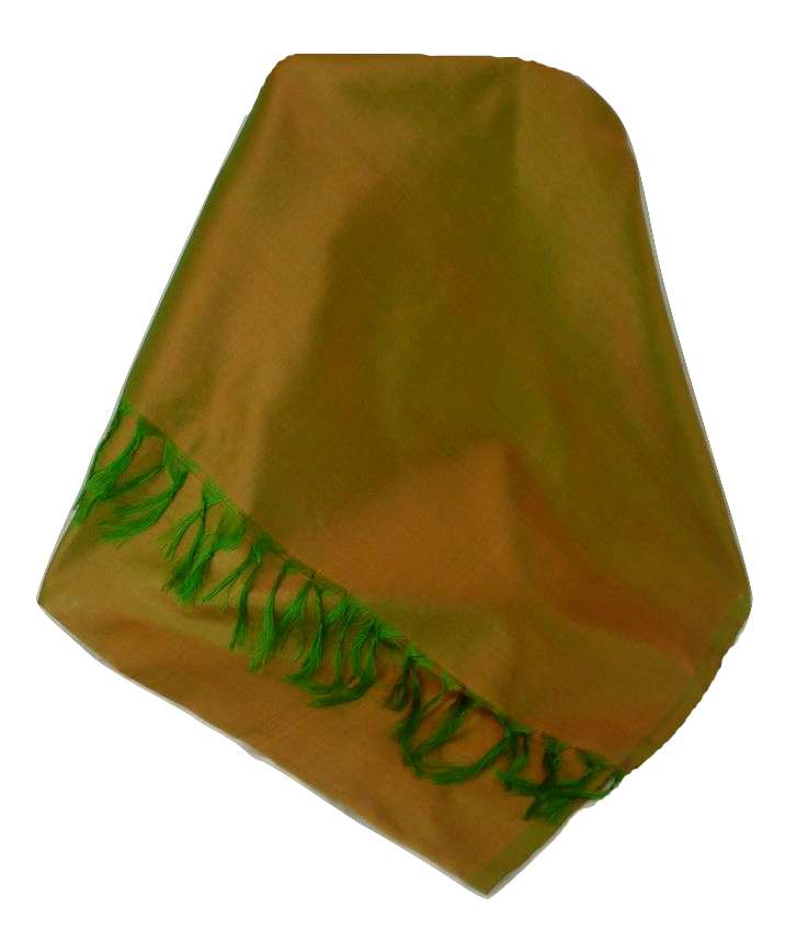 Varanasi Sciarpa di Seta Heritage Jayaprakesh 2