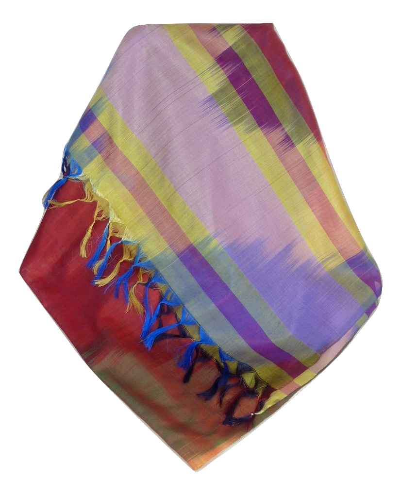 Varanasi Ekal Premium Silk Long Scarf Heritage Nath 2 by Pashmina & Silk
