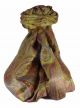 Jamawar Premium Silk Stole Pattern 0379 by Pashmina & Silk
